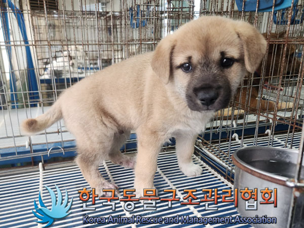 한국동물구조관리협회_411315202300640